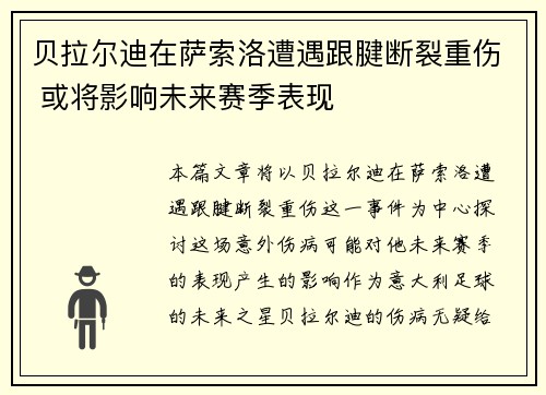 贝拉尔迪在萨索洛遭遇跟腱断裂重伤 或将影响未来赛季表现